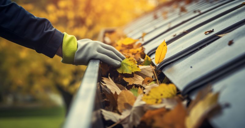 Autumn Gutter Cover Maintenance